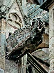 ロデズ大聖堂のガーゴイル　Gargouille de La Cathédrale Notre-Dame de Rodez
